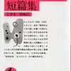 「ヘンリー・ジェイムズ短編集」大津栄一郎編訳（岩波文庫、'07.7.12）を読む―汲めども尽きぬ文章の魅力、だが年月により風化は進む