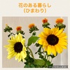 花のある暮らし【ひまわり】