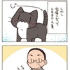 にゃんこ暮らし98話レビュー