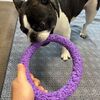 もうそろそろ予備の新しいパーポーに換えようか