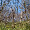◆'25/03/11　高館山・八森山周辺を散歩②