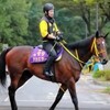 ローズステークス（GII） 桜花賞馬ジュエラー、骨折の影響なし 「競馬レース結果ハイライト」2016年≪競馬場の達人,競馬予想≫