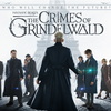 Fantastic Beasts :The Crimes of Grindelwald 　ドゥーユーアンダスタンンンンンドゥ！！