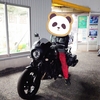 駆け込みバルカンS納車☆と、隼さんとお別れ
