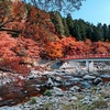 2023/11 秘境「寸又峡」へ！「香嵐渓」と大井川鐡道