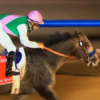 Arrogate