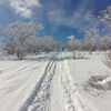 山道具屋のがんこおやじ