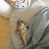 別れた 夫婦と、孤独だけれど 幸せなこと