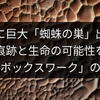 火星に巨大「蜘蛛の巣」出現！水の痕跡と生命の可能性を示す「ボックスワーク」の謎