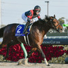 競馬初心者必見☆馬券予想🔥〜チャンピオンズカップ〜購入馬券大公開㊙︎