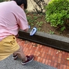 【果樹の家/東】自分で出来る事は...