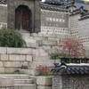 韓国の国会議員