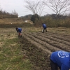 3月3日 里山活動報告～榾木、薪用丸太運び～