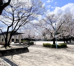 ★お花見