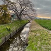 久しぶりの充実感