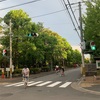 6月19日