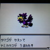 色違いポケモン紹介 Vc産エアームド 自由に生きてあそblog 色違いポケモン紹介 Vc産エアームド 自由に生きてあそblog