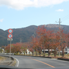 雨引山楽法寺へ