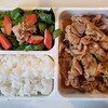 今日のお弁当