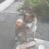 リーグ前半戦最終戦にすべてをかけて