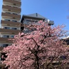 五人のタイ人滞在はいよいよ大詰め！