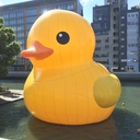 ちょっと一息