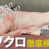 ★YouTube：焼肉龍の巣チャンネル『コブクロ』★