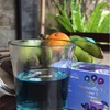 不思議な色のオーガニック茶『バタフライティー』