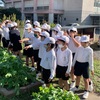 とっくり大根