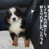 妹　ミクです
