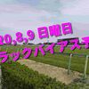 2020,8,9 日曜日 トラックバイアス予想 (新潟競馬場、札幌競馬場)