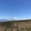 【東京、静岡旅行】富士山の雄大さに圧倒されつつ体調不良【その2】