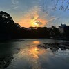 ７月５日　鬼滅の刃を今頃見直している。