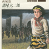 『西遊妖猿伝　西域篇』諸星大二郎　その３