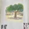 新潮社　季刊　考える人