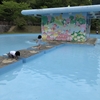 奈良、子供のもり公園