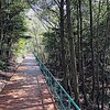 小幡緑地を歩いて開放感を味わう