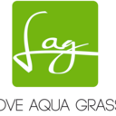 LOVE AQUA GRASS