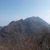 普賢岳新ルート巡視
