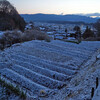 粉雪舞う朝