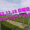 2022,12,18 日曜日 トラックバイアス予想 (中山競馬場、阪神競馬場、中京競馬場)