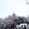 市民文化フェア