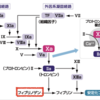 フィブリノーゲン測定の意義