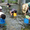 〈新美貴資の「めぐる。(62)」〉じゃちこすくいで伝統文化を発信　岐阜県関市洞戸の板取川を訪ねる