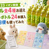 【6/23発見・イオン実録】キリン×トイ・ストーリー カシャカシャシール全4種お迎え｜ペットボトル24本購入から即日便まで