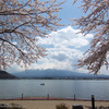 桜満開の河口湖巡り＆ちょっと惜しい「桜のなかの逆さ富士」