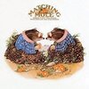 Matching Mole 「O'Caroline」