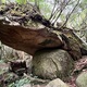 【屋久島旅行】もののけ姫の世界を巡る！ジブリファン必見の白谷雲水峡＆屋久杉