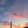 解消