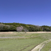 東近江の風景　その４